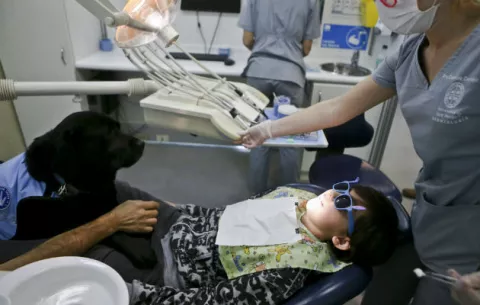 Perros logran que niños autistas vayan al dentista en Chile 