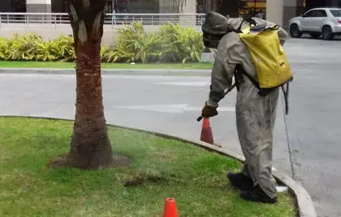 Abejas africanizadas, seria amenaza para los bomberos de Veraguas