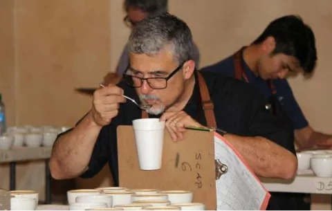 Arranca cata para escoger el mejor café geisha de Panamá