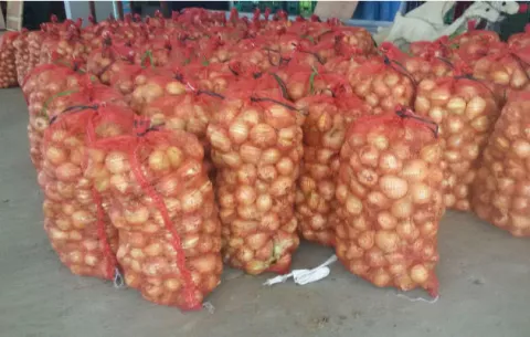 Productores de la provincia de Chiriquí se declaran en alerta