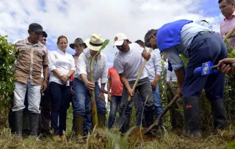 Santos manifiesta que la sustitución de cultivos es la "mejor decisión" para los campesinos