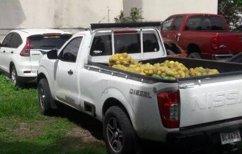 Transportaba 280 paquetes de cocaína con una carga de naranjas