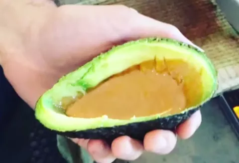 ¿Aguacate y café?, así usan la fruta en un local 