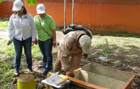 Altos niveles de infestación de Aedes aegypti presenta Arcos Iris