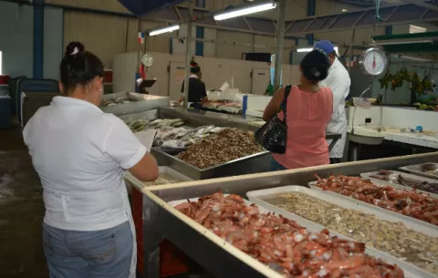 Arrendatarios de mercado exigen construcción de nuevos mercados