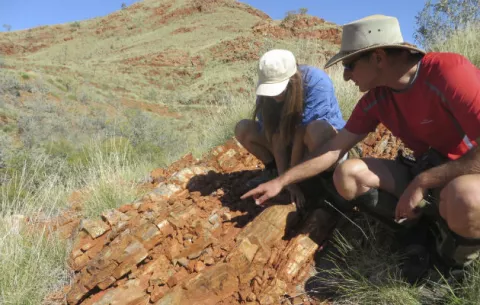Hallan en Australia la evidencia más antigua de vida terrestre