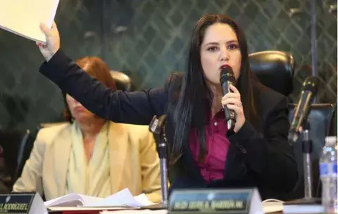Zulay Rodríguez: 'Gobierno incapaz busca intimidar y silenciar'