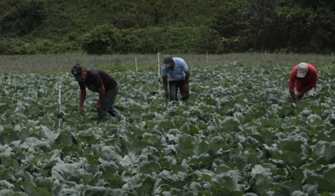 'Gobierno sacrifica al  sector primario del país'  