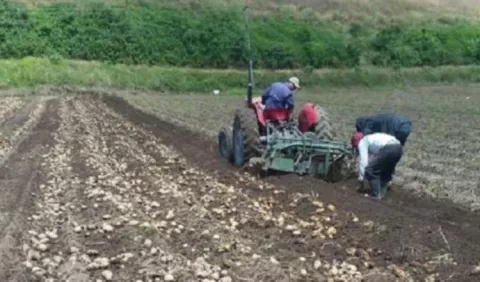 Respaldan solicitud de productores chiricanos