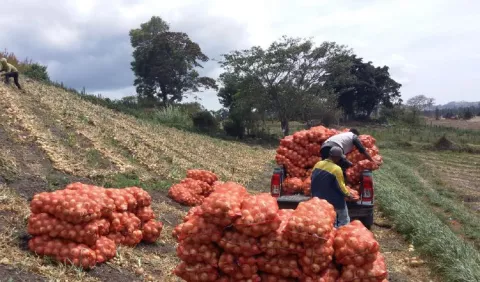 La producción nacional  y    exportaciones,  en peligro