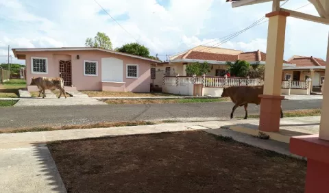 Residencial  con vacas