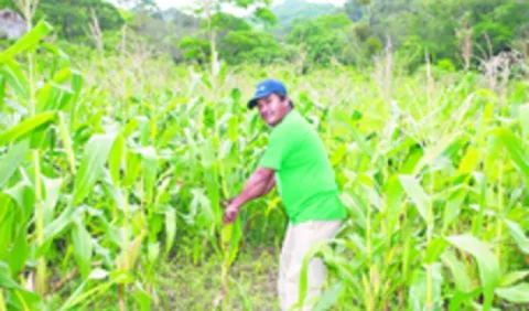 Urge avance en el agro