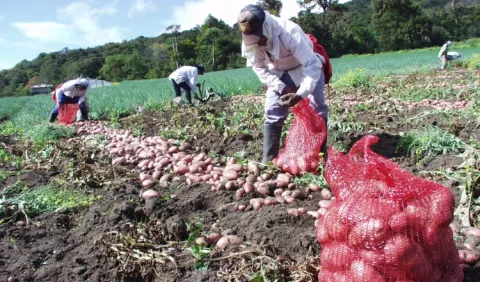 Productores no quieren diálogo