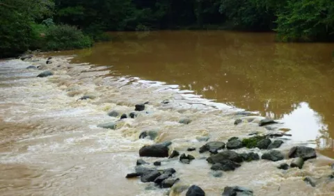 Por la turbiedad del río, escasea agua en Chitré 