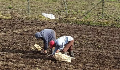 Gremio de productores califica de 'inestable' la situación agropecuaria