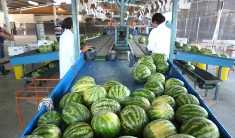Crisis económica perjudica las exportaciones de fruta