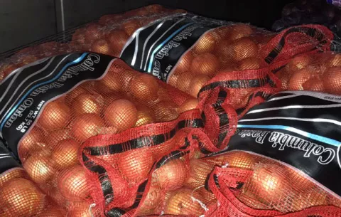 Retienen dos contenedores con cebollas germinadas