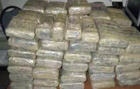 Incautan 90 kilos de 'coca' tras operativos en Chiriquí