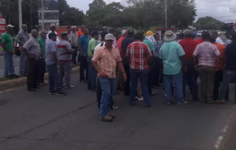 Productores en Chiriquí protestan por atraso en el pago del arroz 