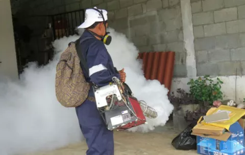 Aumentan índices de infestación del mosquito en Panamá Oeste