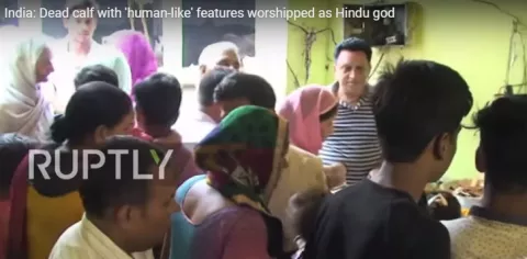 Adoran a becerro con cara de humano en la India