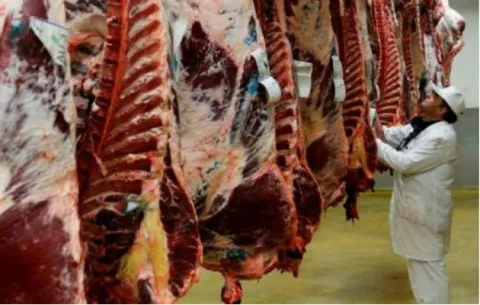 Carnes podridas y prohibidas en Brasil están autorizadas para Panamá