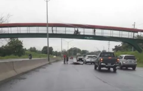 Colisión entre vehículo y equino provoca cierre de vía en autopista
