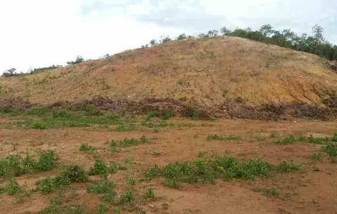 Solicitan a MiAmbiente investigar sobre posible delito ambiental 