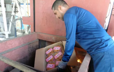 Más de dos millones de kilogramos de alimentos destruidos en el país
