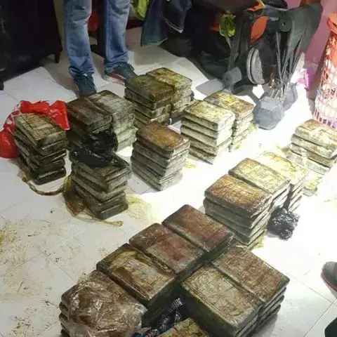 Decomisan 95 paquetes de cocaína en Colón