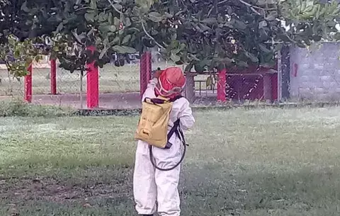 Suspenden clases en escuela de San Bartolo por enjambre de abejas