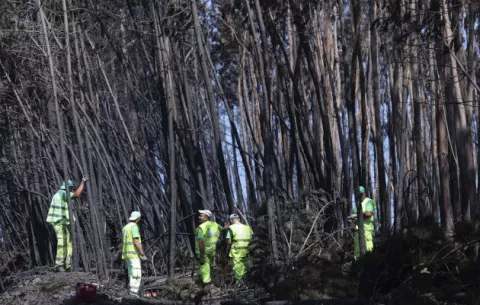 Bomberos controlan todos los incendios forestales en Portugal