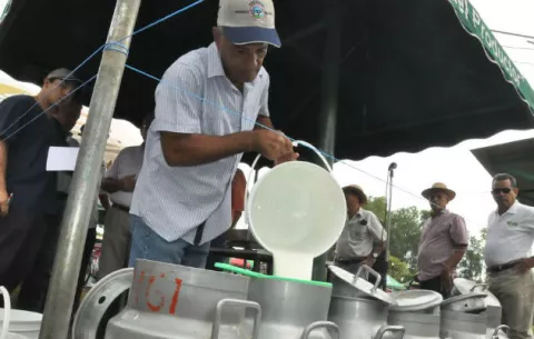 Queserías mantienen intranquilos a pequeños productores de leche