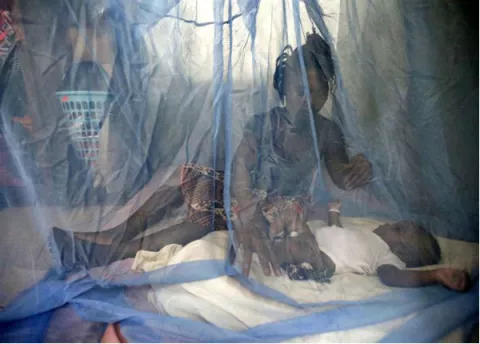 Descubren que la malaria sigue dañando el hueso tras eliminarse la infección