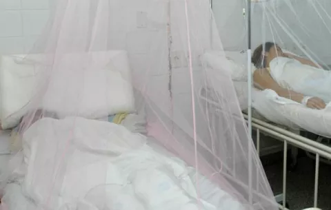Científico advierte que Colombia tiene "un problema" con la malaria