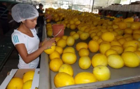 Crédito a productores se reduce más de $10 millones