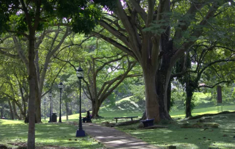  MEF traspasa 69 parques a la Alcaldía de Panamá