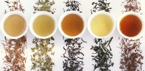 El té, más que una bebida un aliado para la salud