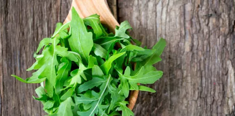 Vegetales verdes, ideales para mejorar tu salud