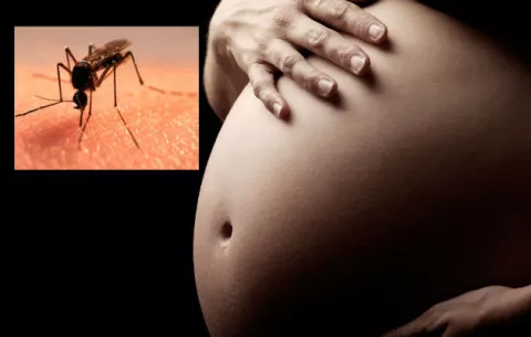 Panamá al borde de los 400 casos de Zika