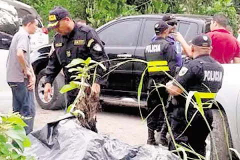 Hallan dos cuerpos decapitados