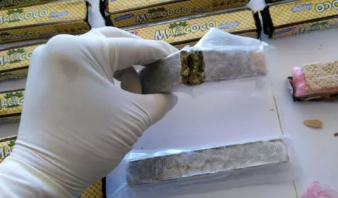 Quieren legalizar fumar marihuana