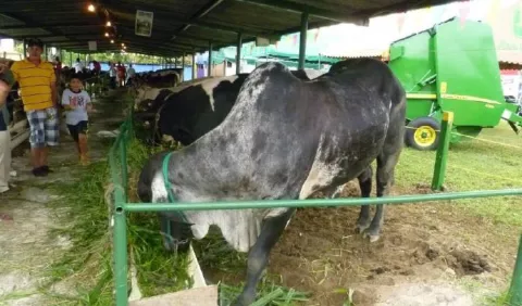 Piden que se compre el residuo de leche tipo  C