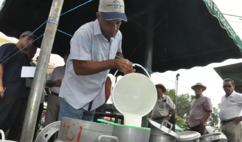 Leche grado C venderán productores al Gobierno