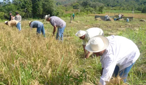 Productores exigen que se   investigue posible uso indebido de fondos  
