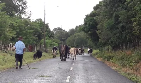 BDA no está otorgando  préstamos en Chiriquí