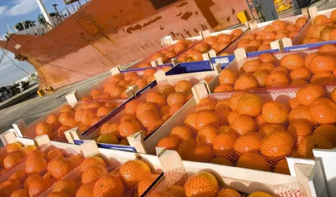 Exportaciones  de la UE crecieron