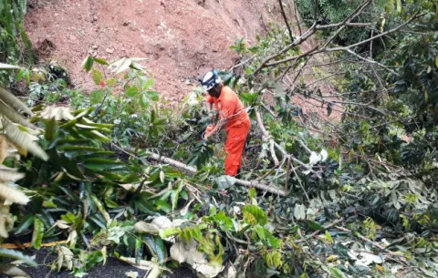 Árboles caídos y deslizamientos por mal tiempo en la Costa Arriba 