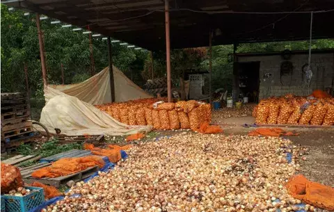 Cebolleros de Natá molestos amenazan con el cierre de vía Interamericana