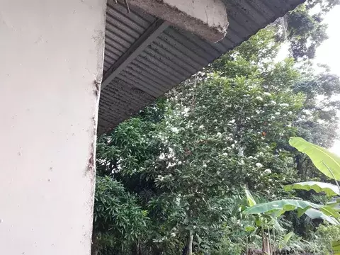 Termina con su vida en la provincia de Bocas del Toro 